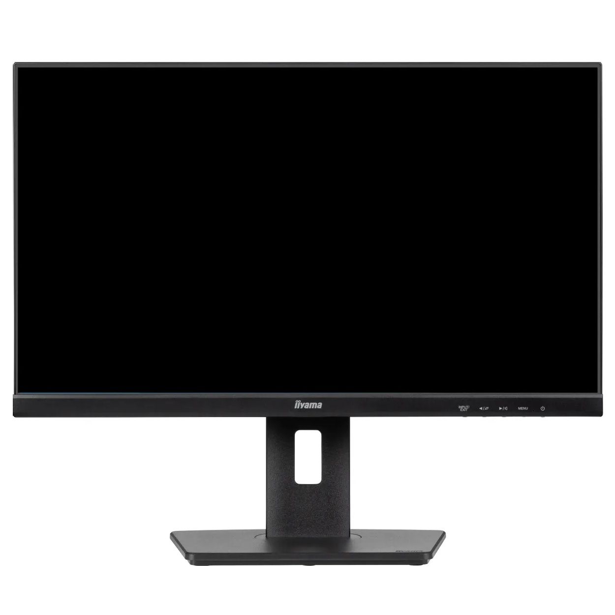 Монитор 23.8" Iiyama ProLite XUB2493HS-B6, IPS, 100 Гц, черный