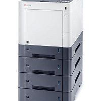 Принтер Kyocera P6230cdn (А4, цв, дуплекс, сеть)